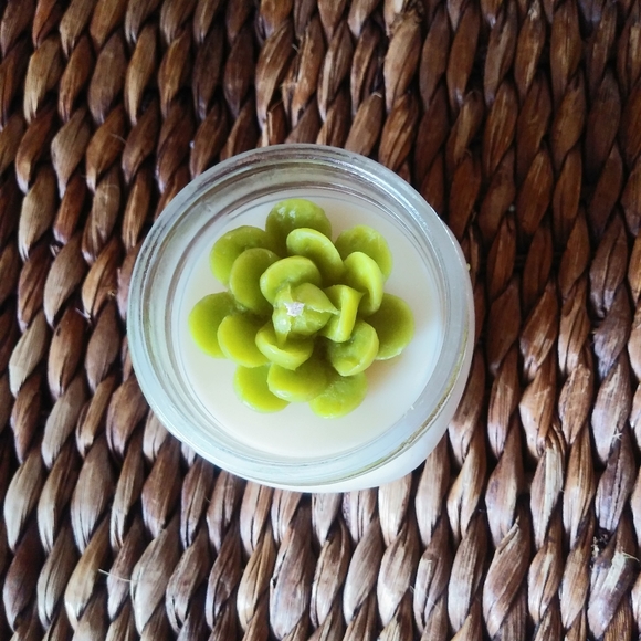 Handmade Fragranced Succulent Soy Candle 7 oz - Picture 5 of 6